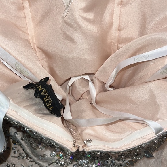 Terani couture champagne Swarovski, crystal mermaid prom dress - Picture 7 of 11